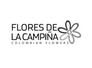 APOYO-CASA-LA-CHINCA-021